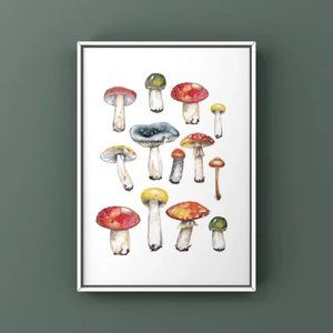 Vibrant color mushroom art print home decor verities of mushroom group art
